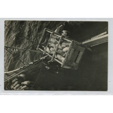 ISLAS MALVINAS EMBARQUE DE OVEJAS ANTIGUA TARJETA POSTAL